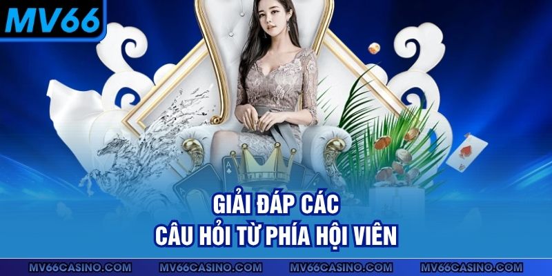 Giải đáp các câu hỏi từ phía hội viên Giải đáp các câu hỏi từ phía hội viên